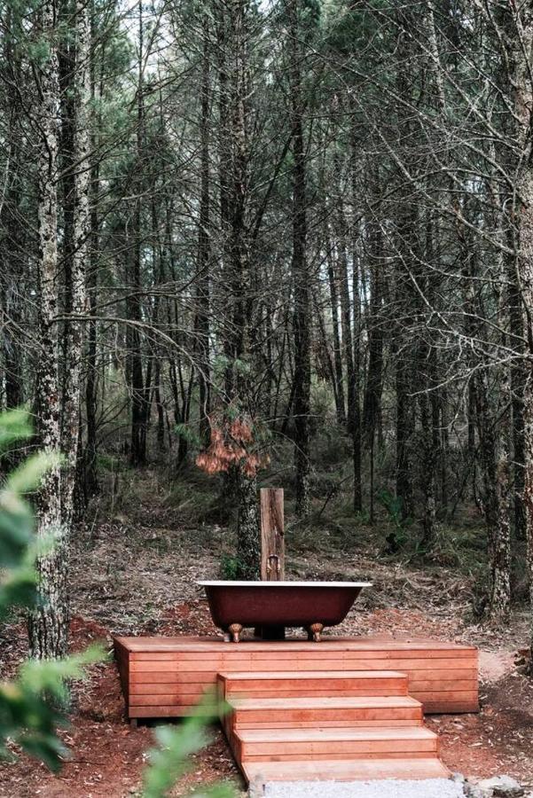 Holiday home The Gully - Dreamy On Acres Of Outback Charm *